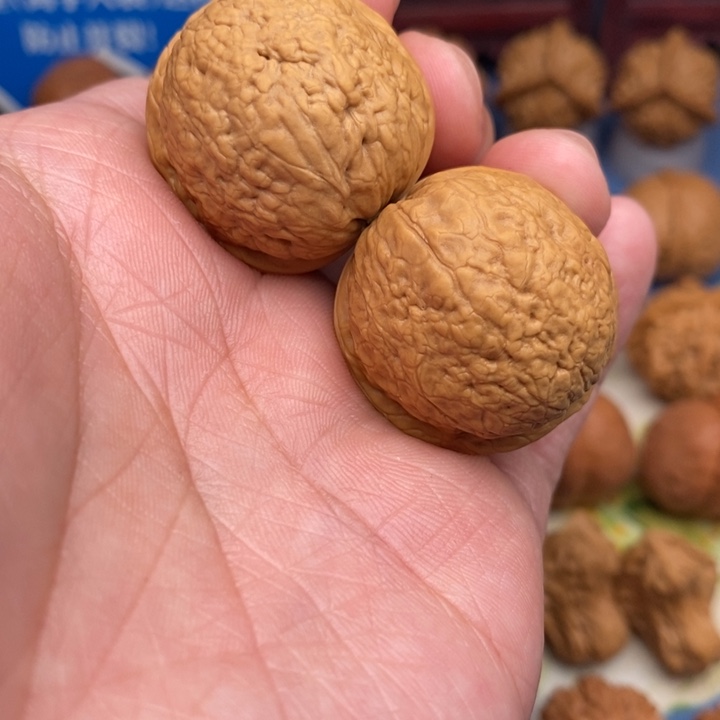 文玩核桃把件鱼籽纹