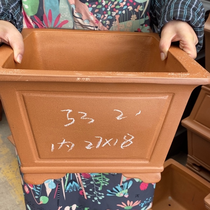 紫砂花盆只顾看手机的