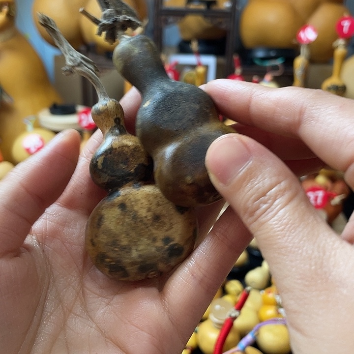 哆***梦葫芦丝和我一样是一个月