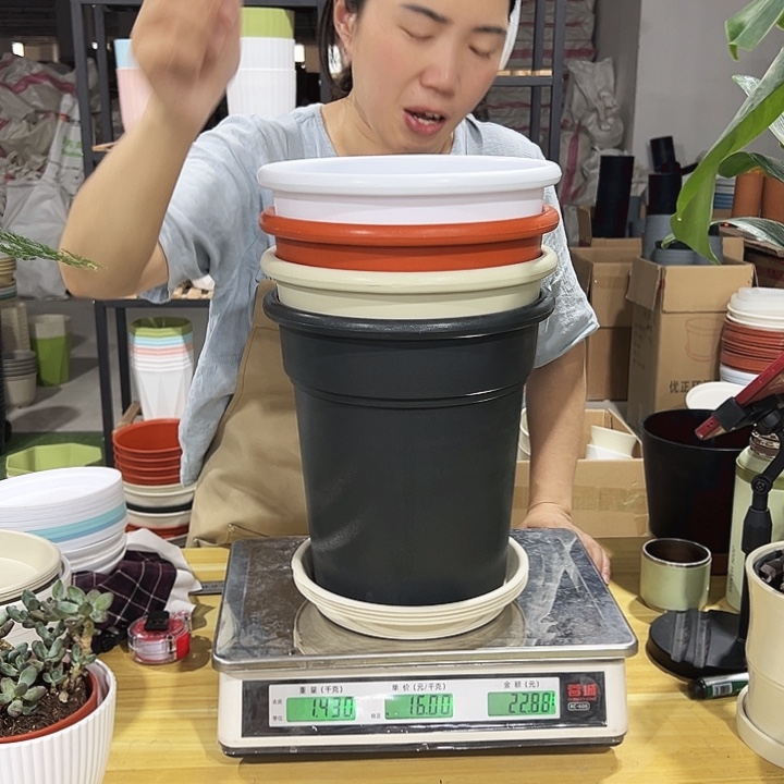 翻边11口22高24混色带托4只