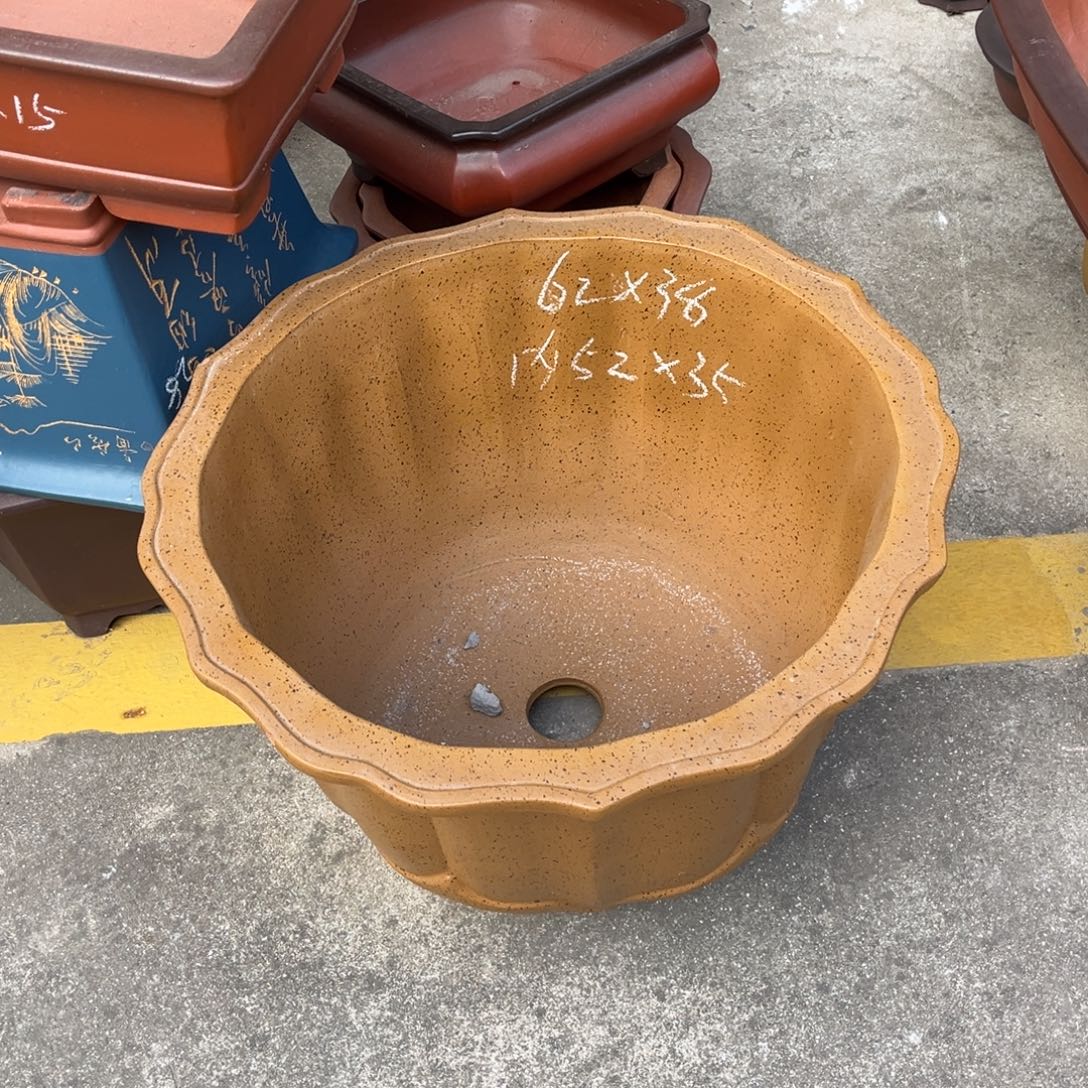 花盆紫砂盆景艺术