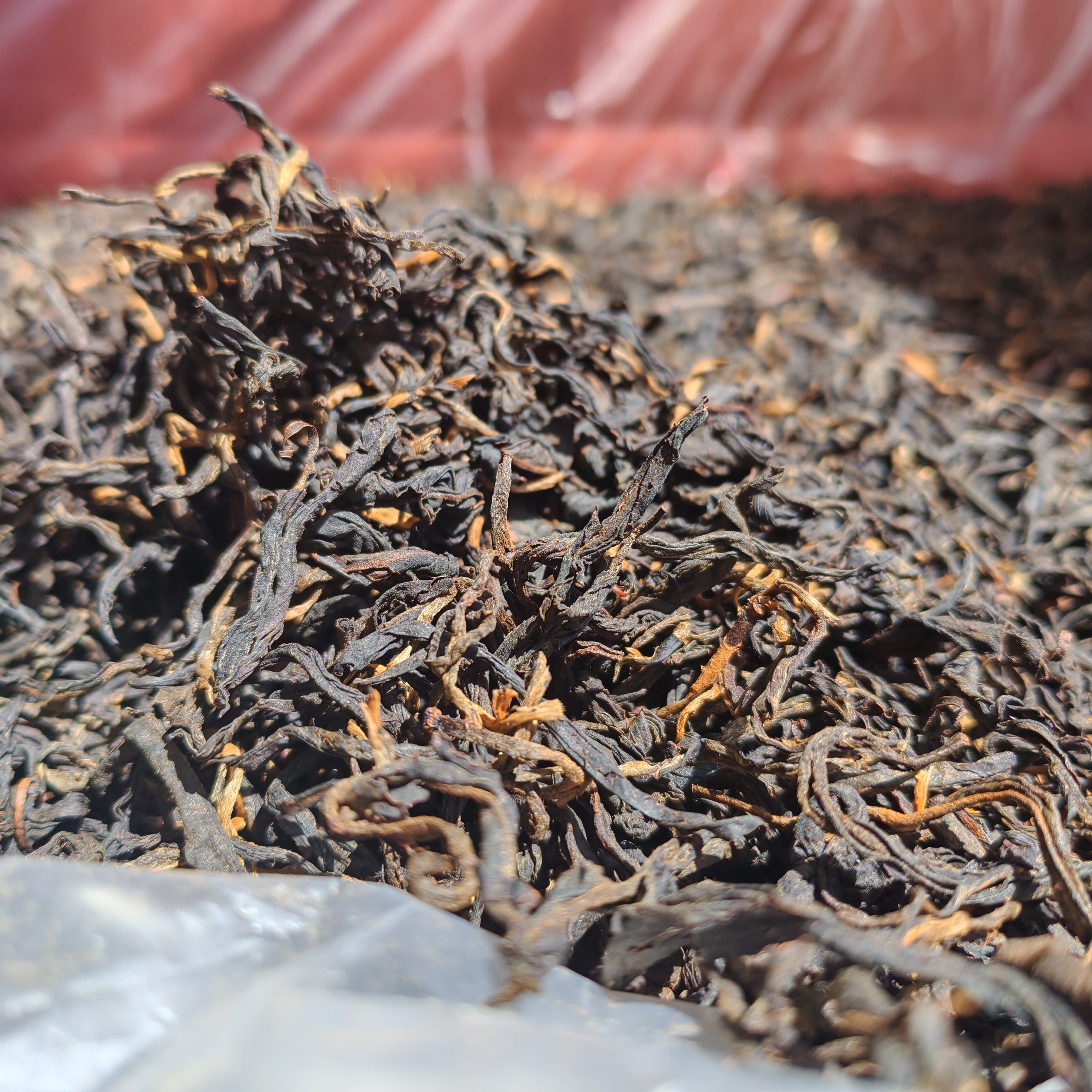 2025年头春  云南古树红茶 可以煮着喝的红茶  