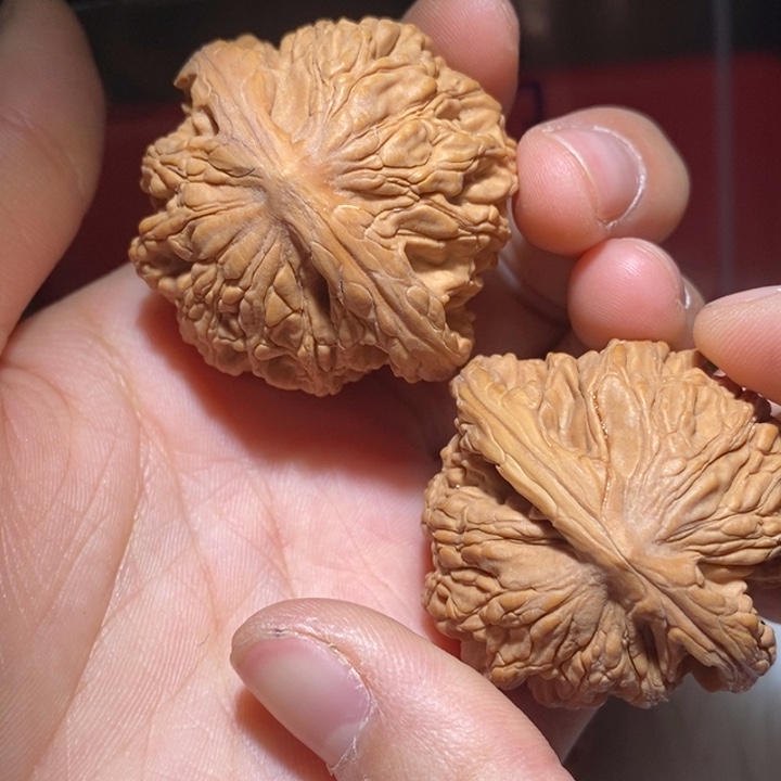 温***令文玩核桃吊坠精品课程和专业的培训