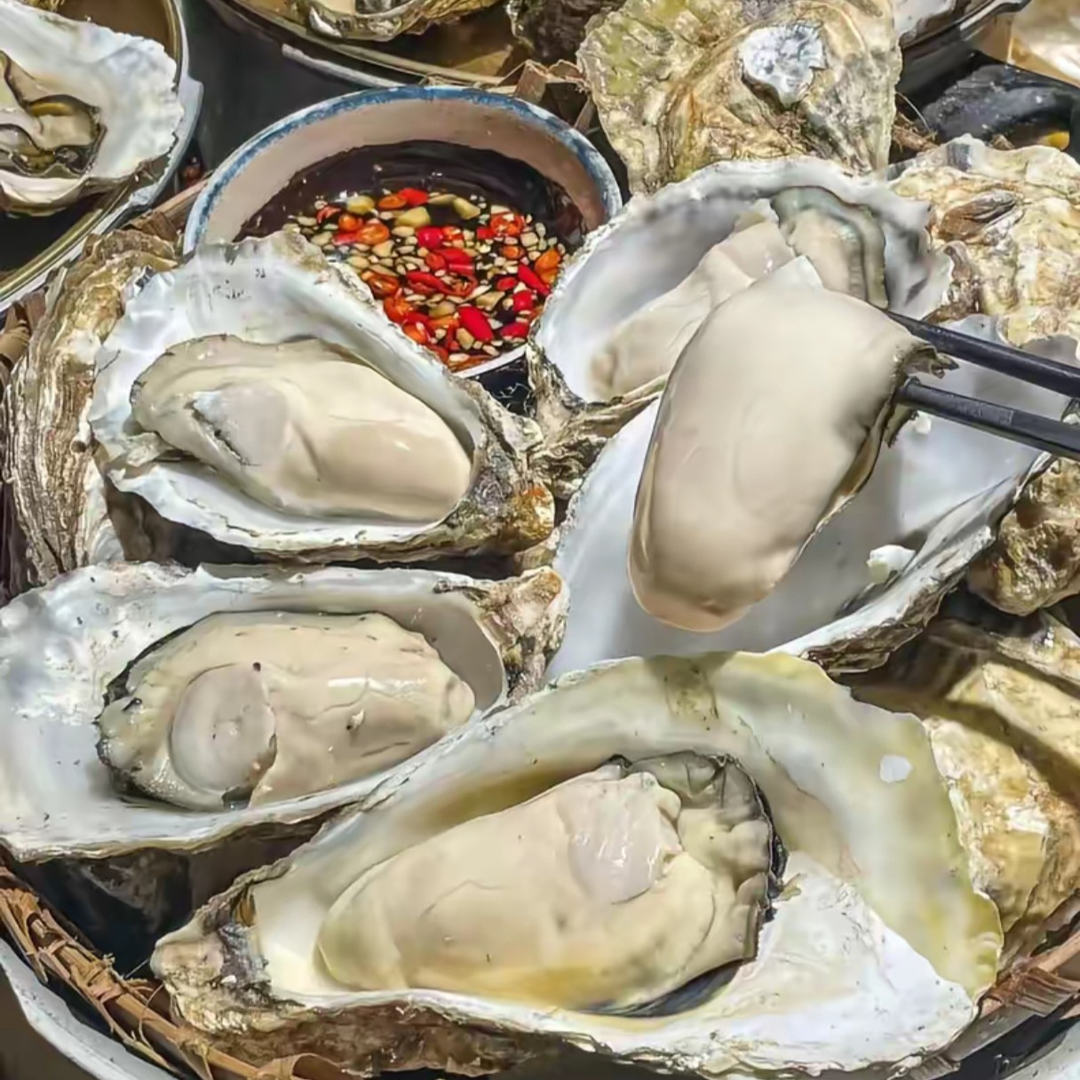 【回馈老客户】鲜活大生蚝1个【1个半斤】