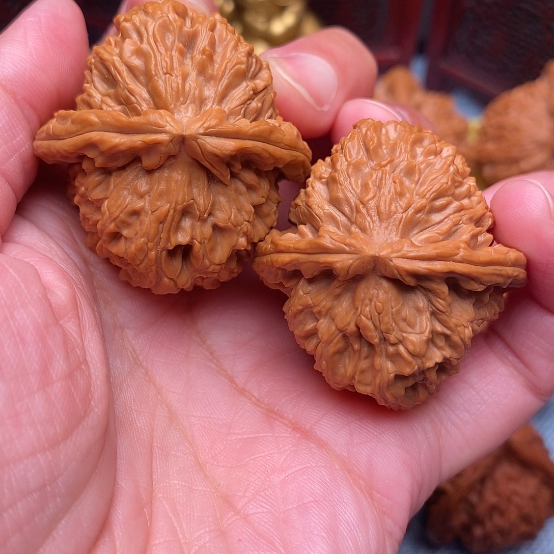 天***堺文玩核桃把件全品毕业三角白狮子38尺