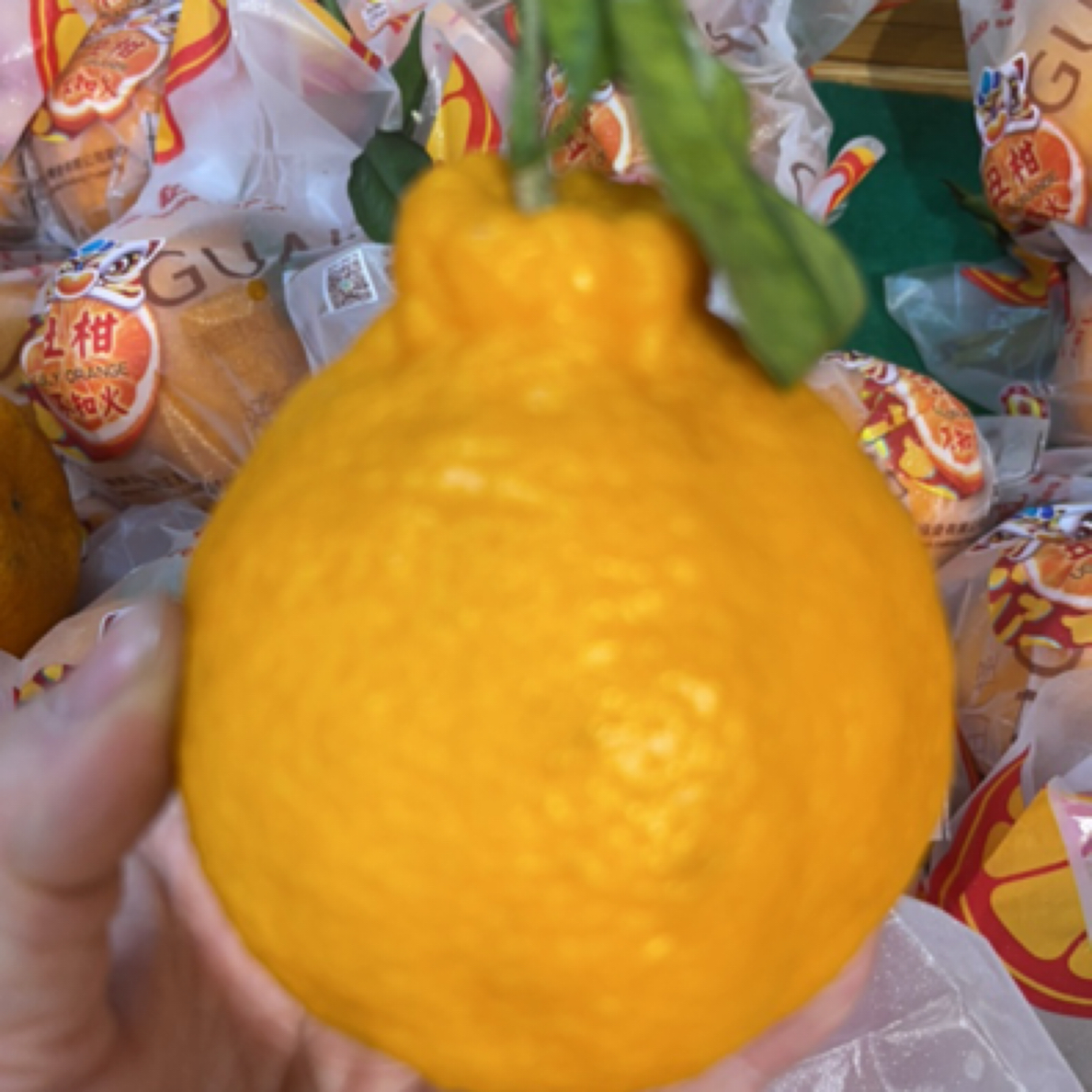 精品丑橘500g左右内蒙古自治区