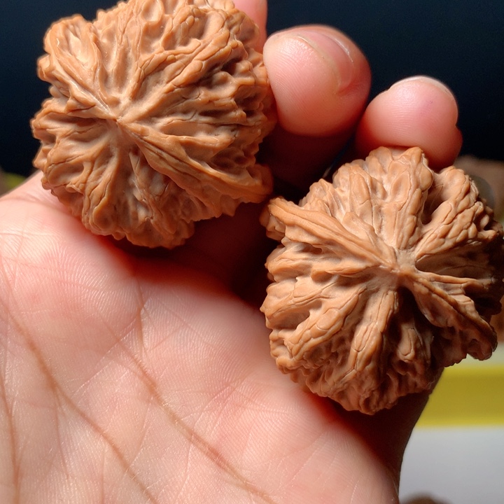 桃核吊坠平果园11111111