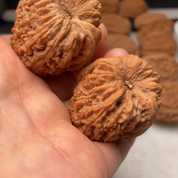 1***2文玩核桃吊坠大蒜头34尺磕