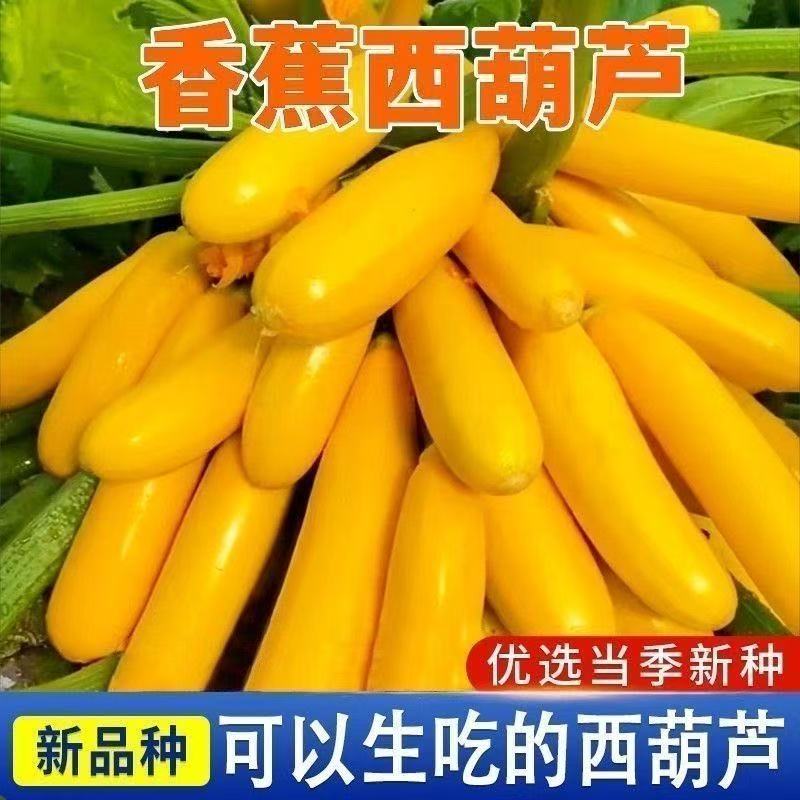 【全店凑6包包邮】【177】香蕉樱桃萝卜西葫芦种子蔬菜
