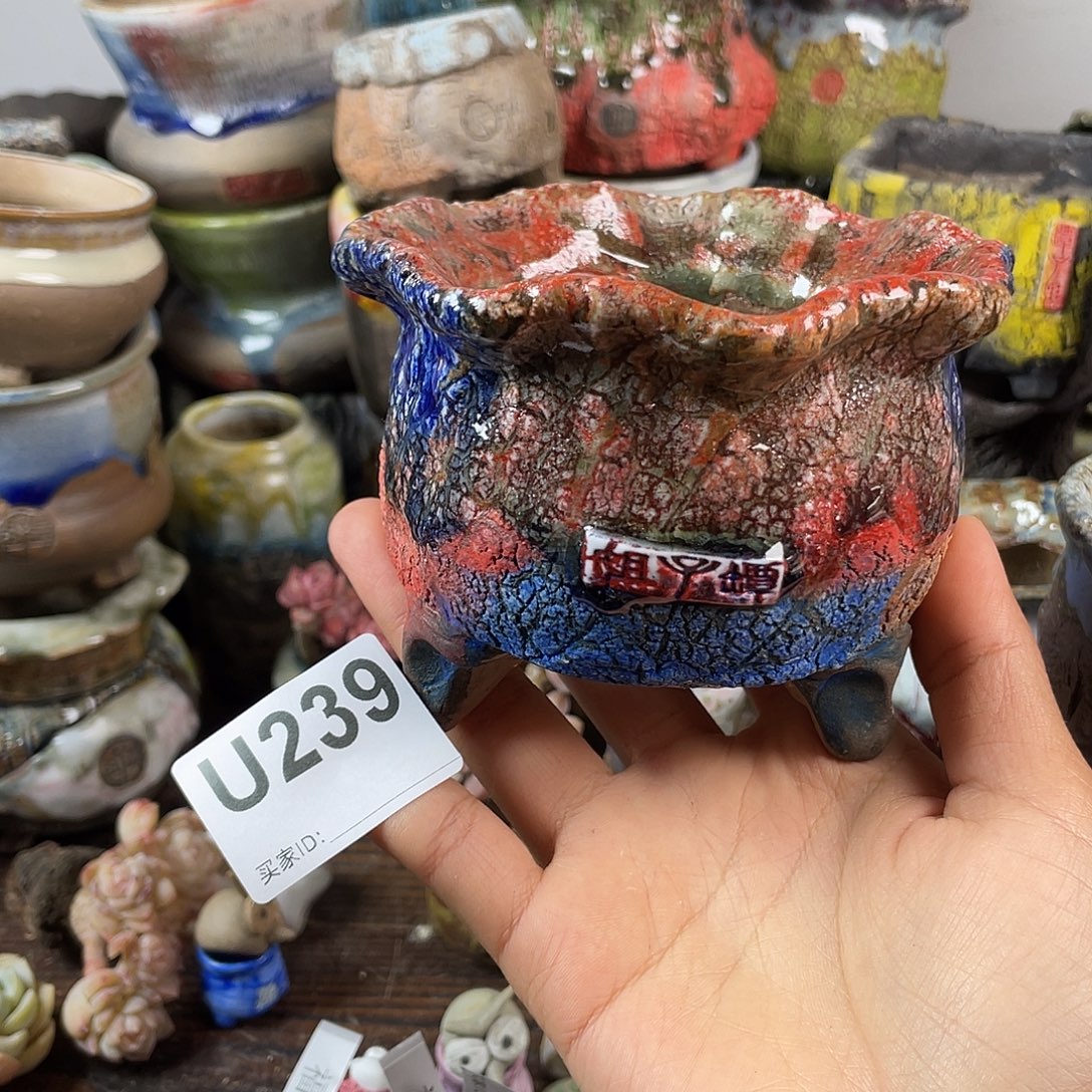 默认微次 跨年福利 坛子姐花盆