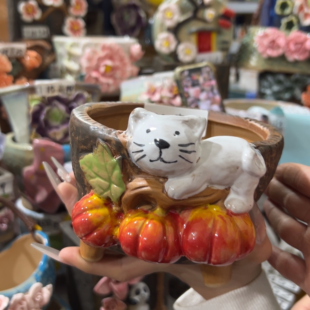 花盆拍满20发货退款拉黑