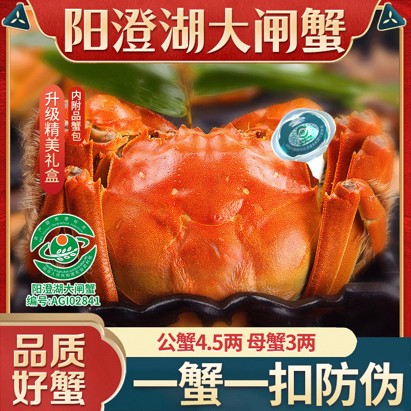 【活蟹】阳澄湖大闸蟹礼盒团购公蟹4.5两 母蟹3两6/8/10只 高标塘养