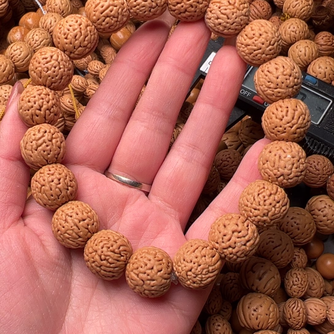 15尺寸金刚纹桃核