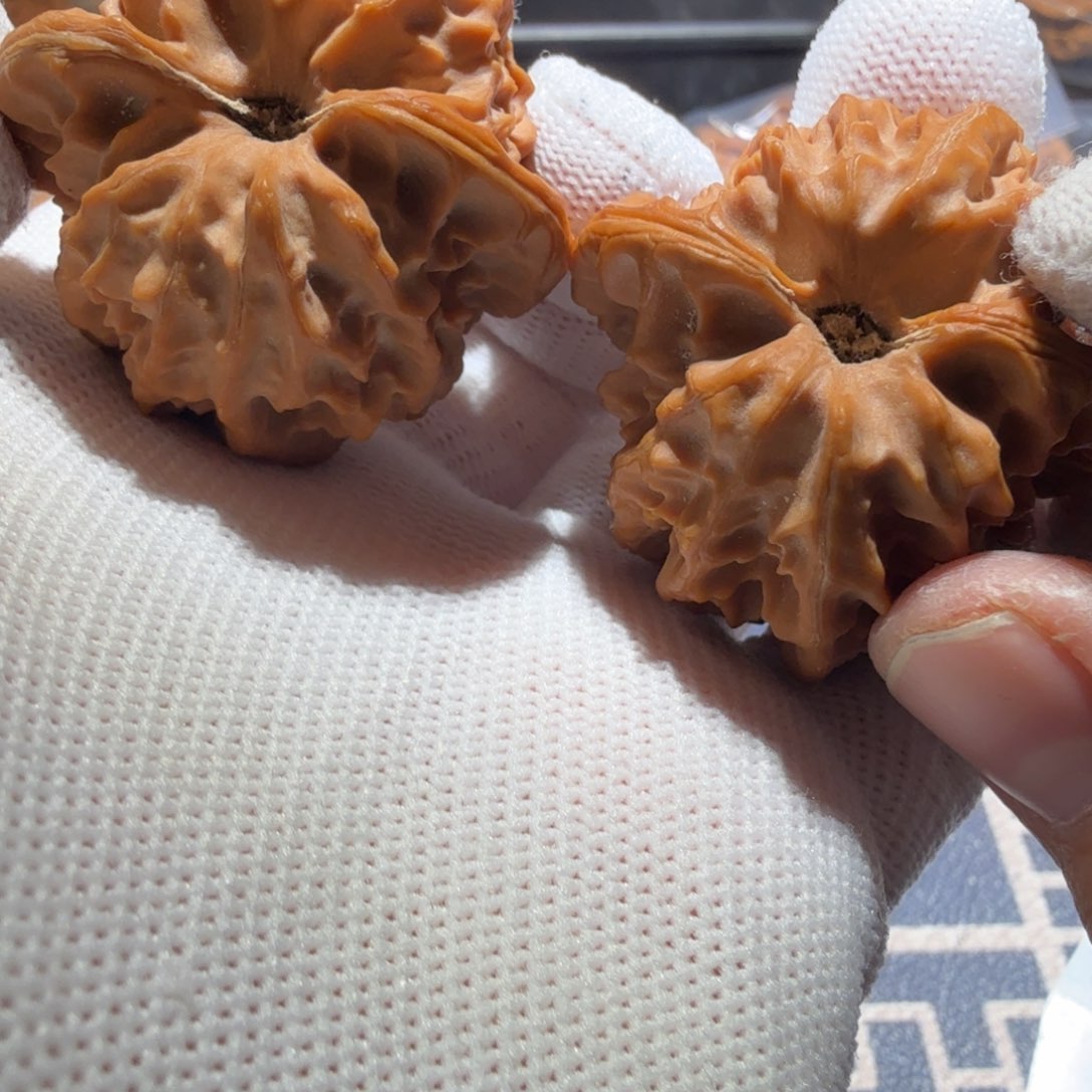 把件文玩核桃曹大龙