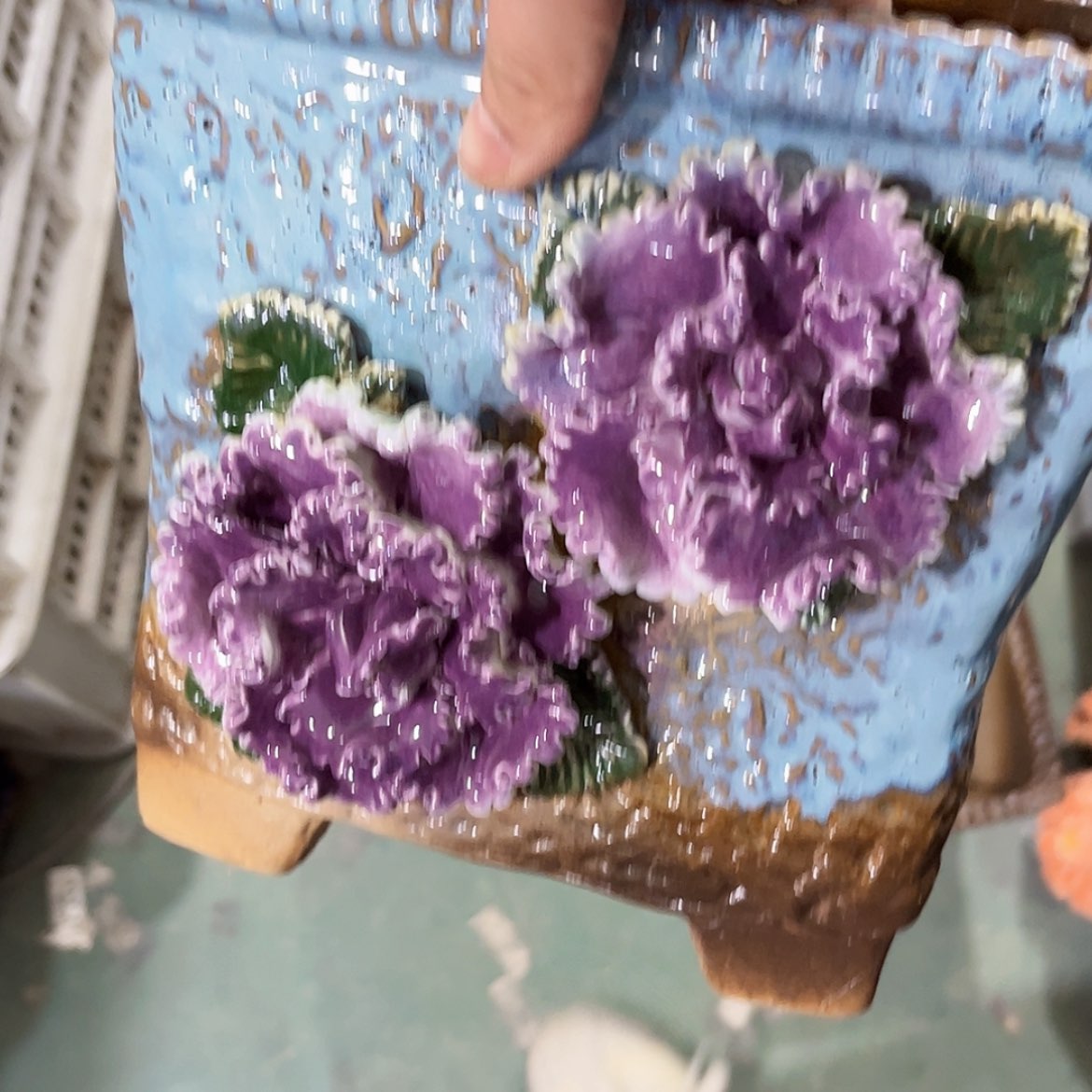 【闪购商品】红陶福利