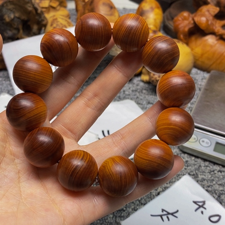 柏木（崖柏）崖柏55