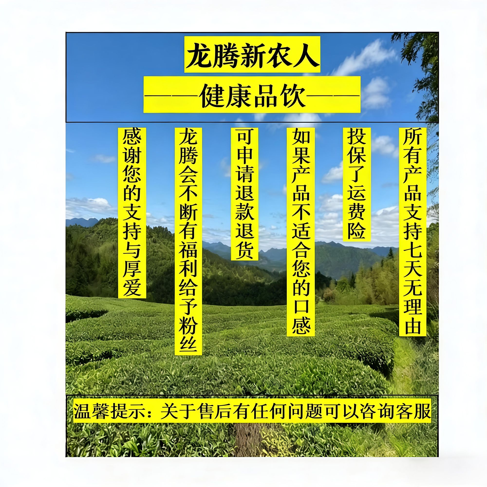 龙腾藏红参养身茶-核心产区-产品以直播间为准