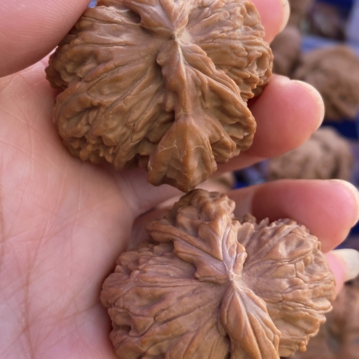 吊坠文玩核桃白狮子角