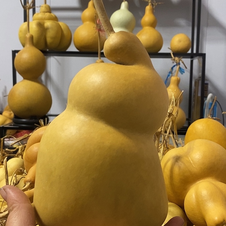 葫芦的颜色是蓝色的