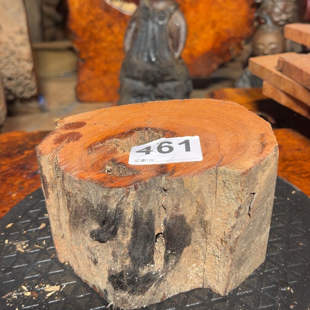 大果紫檀（缅甸花梨）