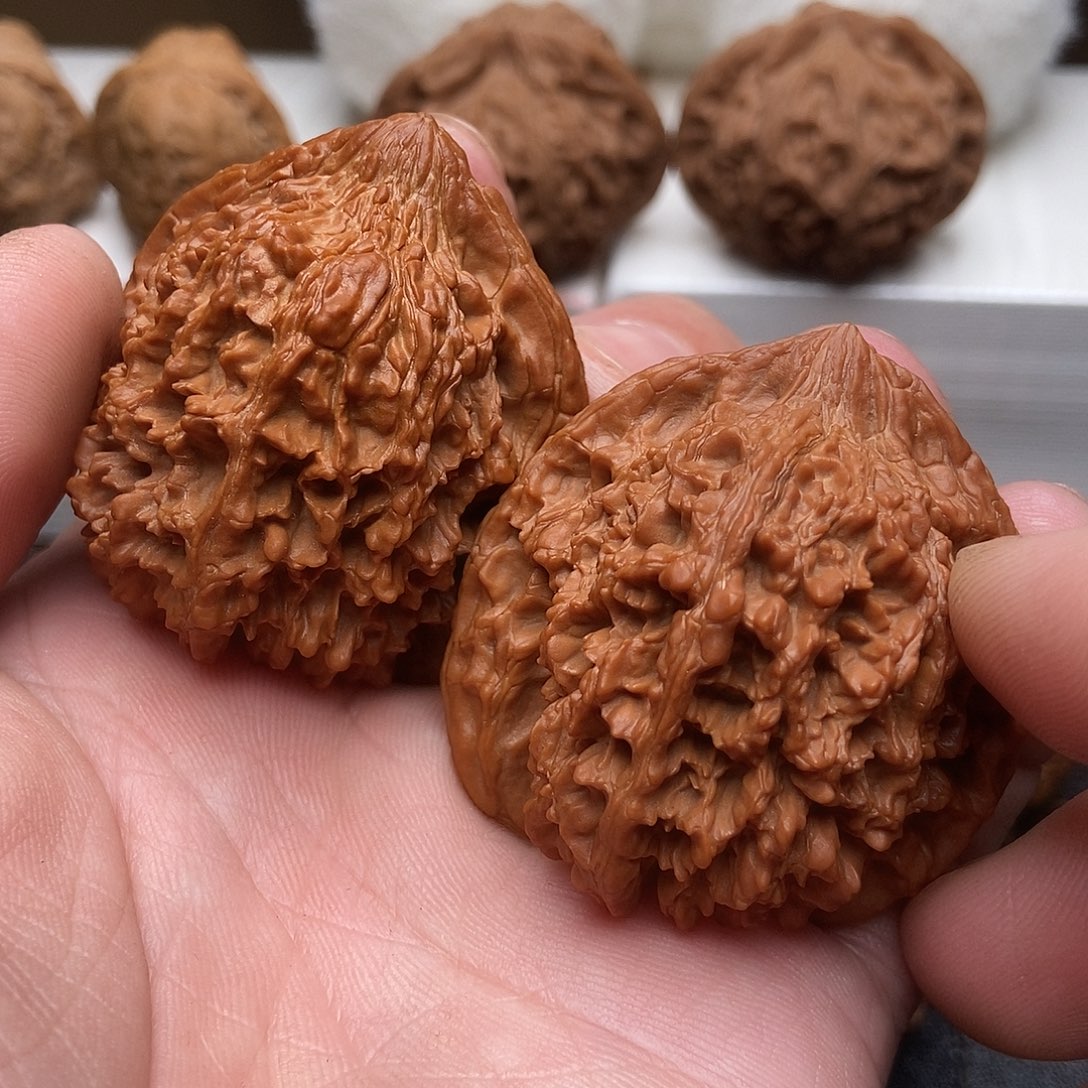 满天星狮子头核桃