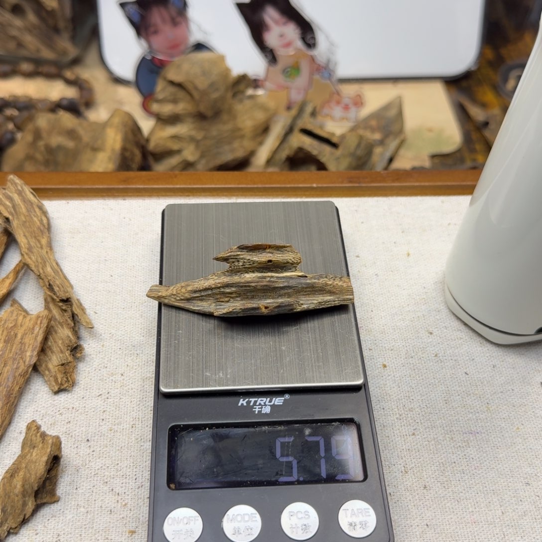 沉香沉香碎屑黑油虫漏5.79克多样性发一个