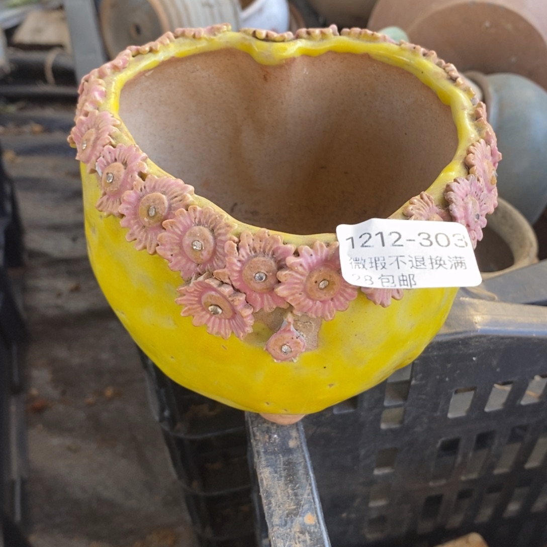 303号多肉盆口径9瑕疵