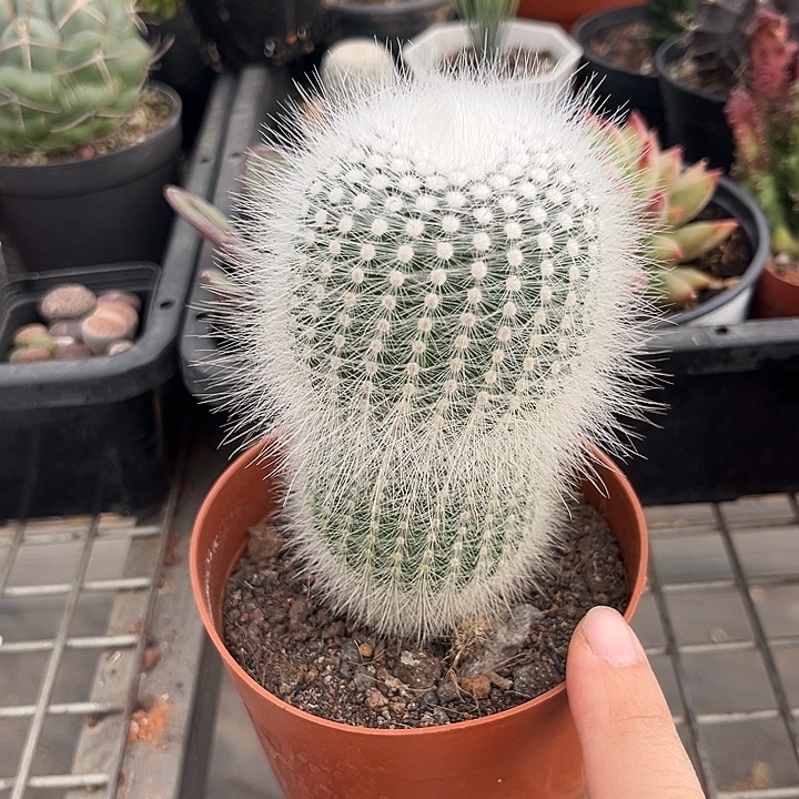 岩***扬我也不知道我为什么要这样