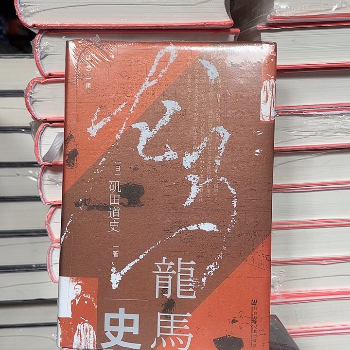 龙马史：微瑕图书系列