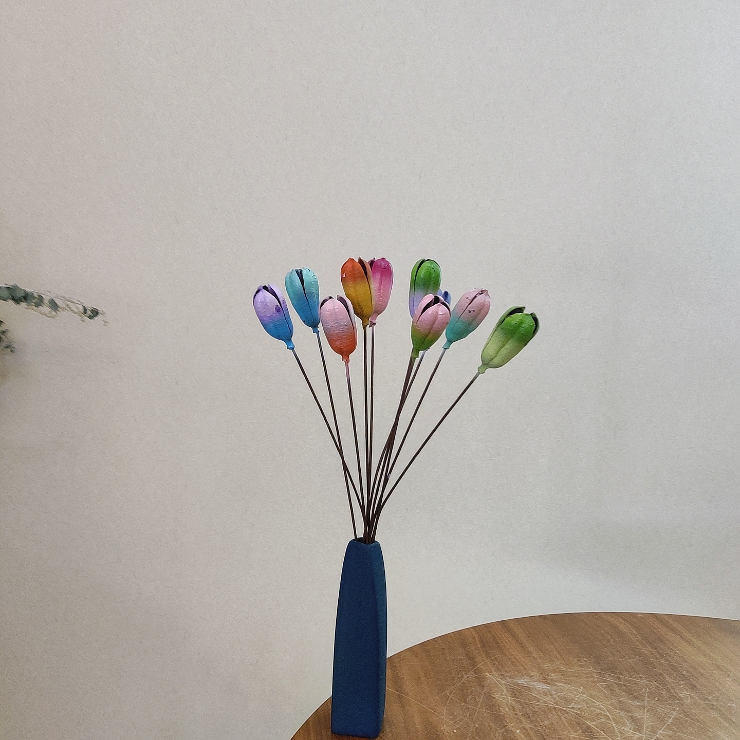 【郁金香小果壳】通草花干花永生花