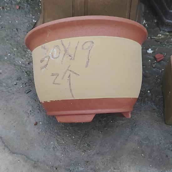 圆口30*19 瑕疵有裂两个黄