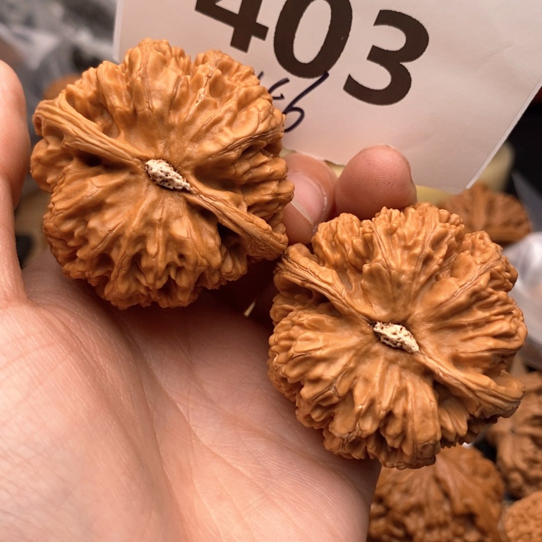 文玩核桃把件403号46粗筋