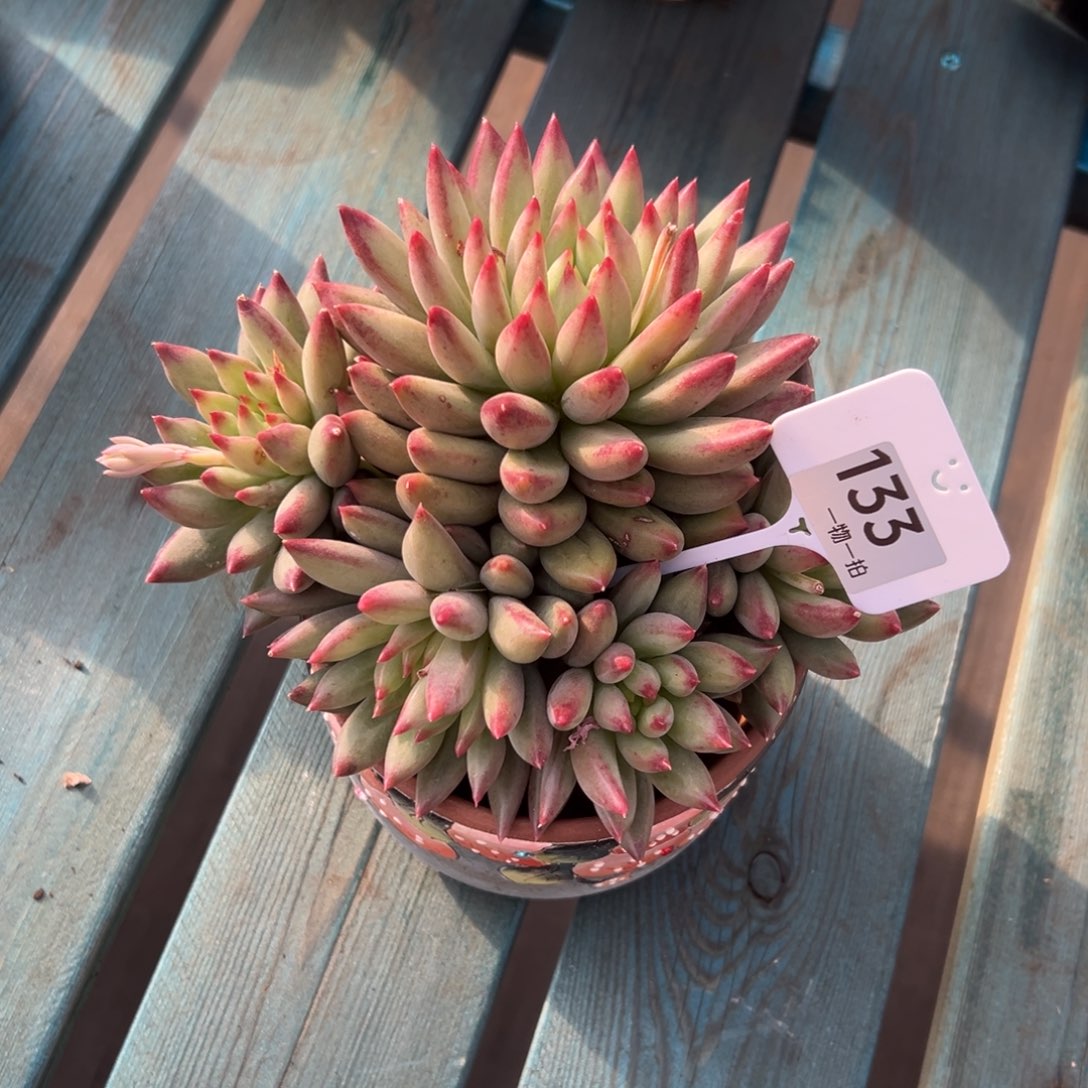 初***晴133、发发发v个vvv