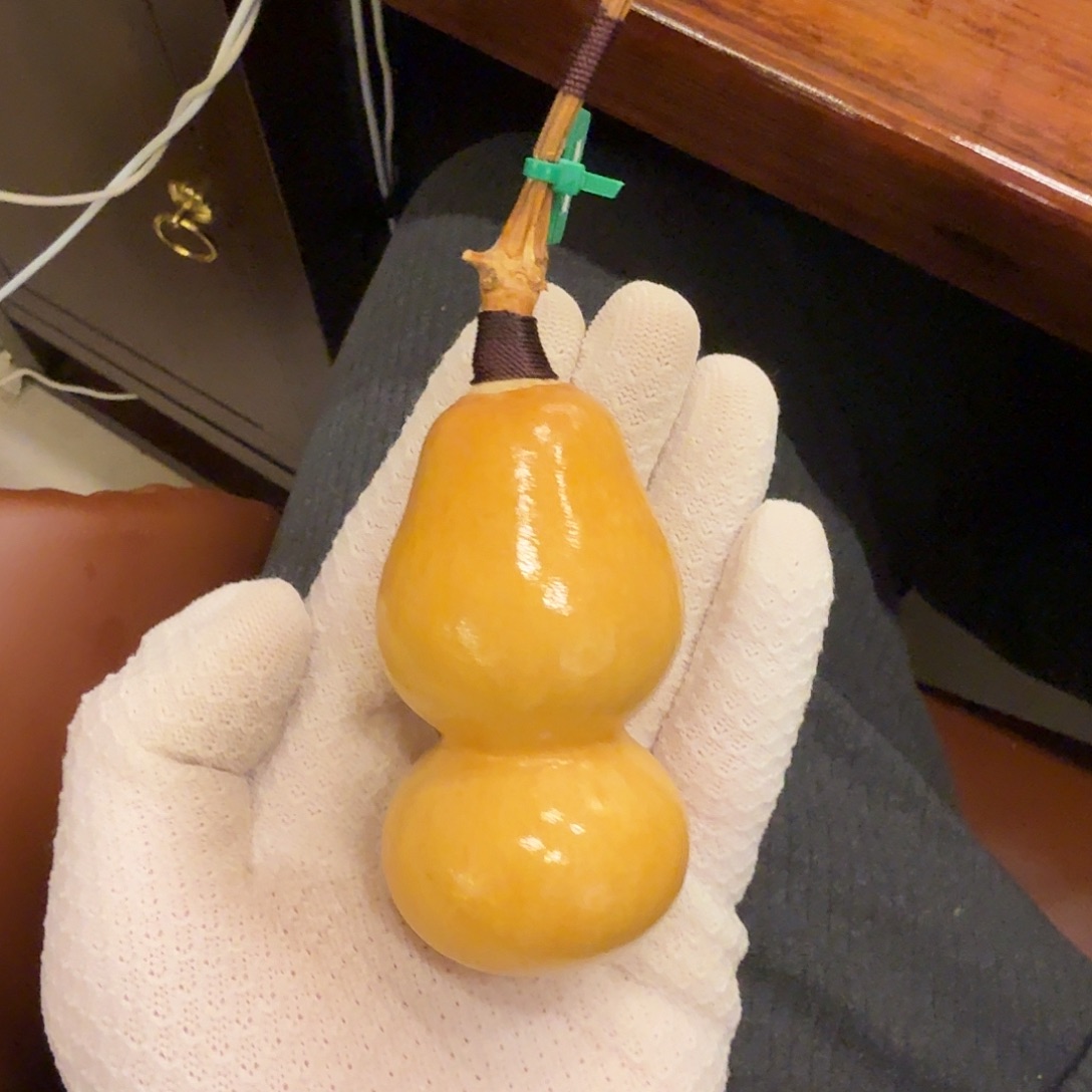 舎得出品精选葫芦SHEDE