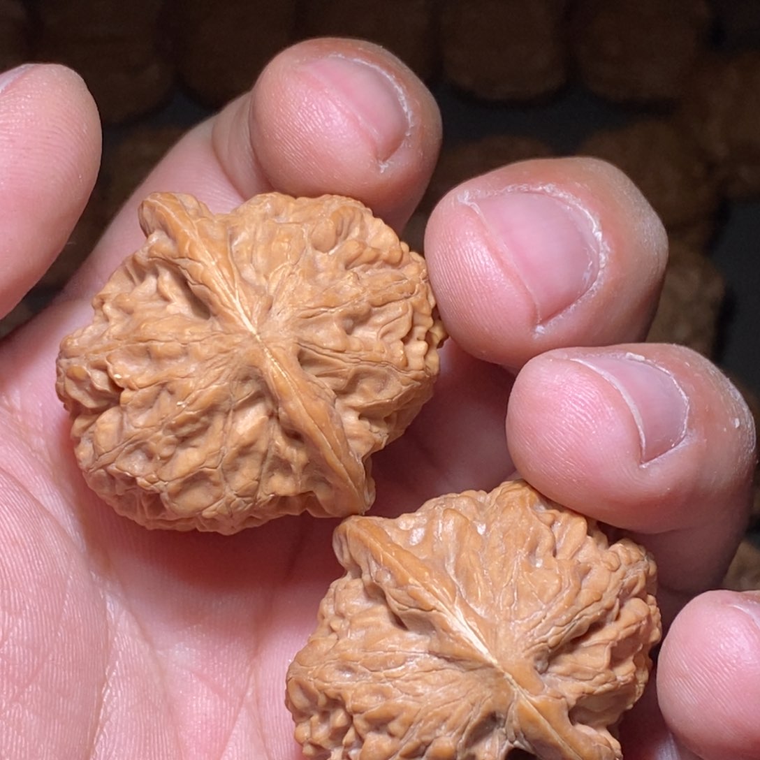 文玩核桃吊坠太行元宝