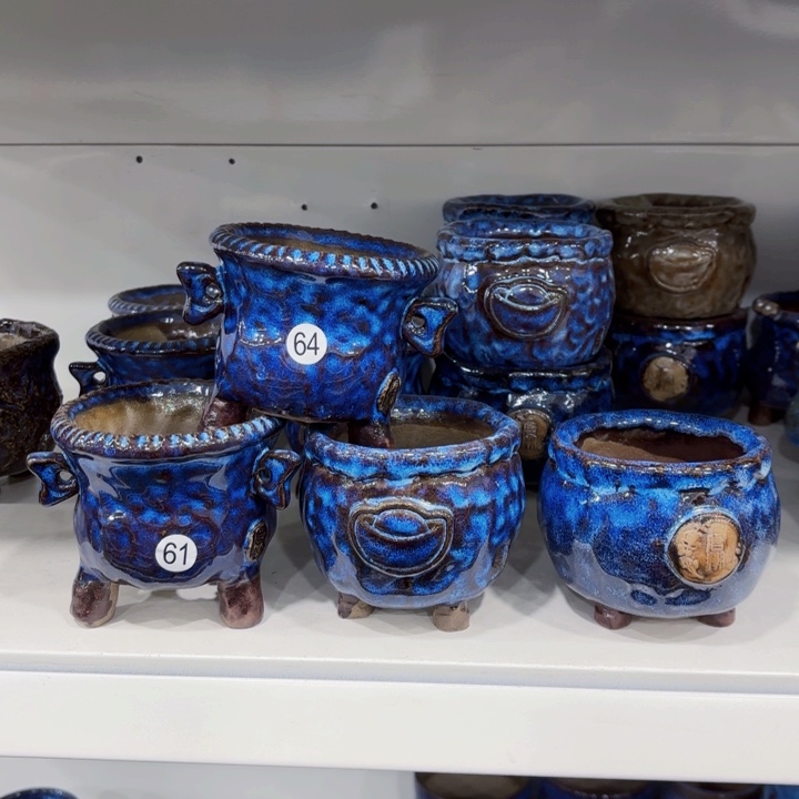 红陶内敛的人是不可能