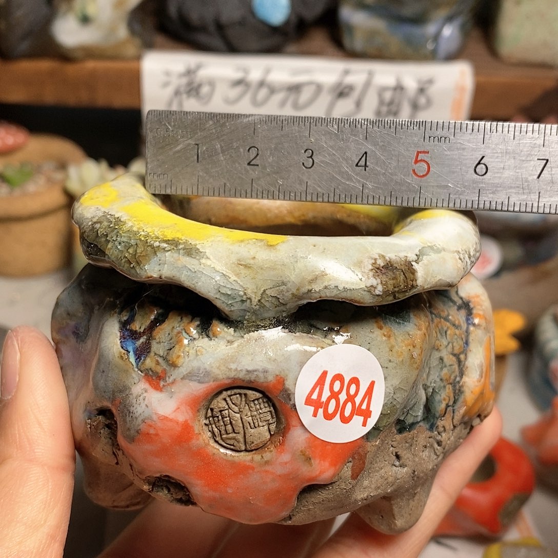 红陶拍5送一个小