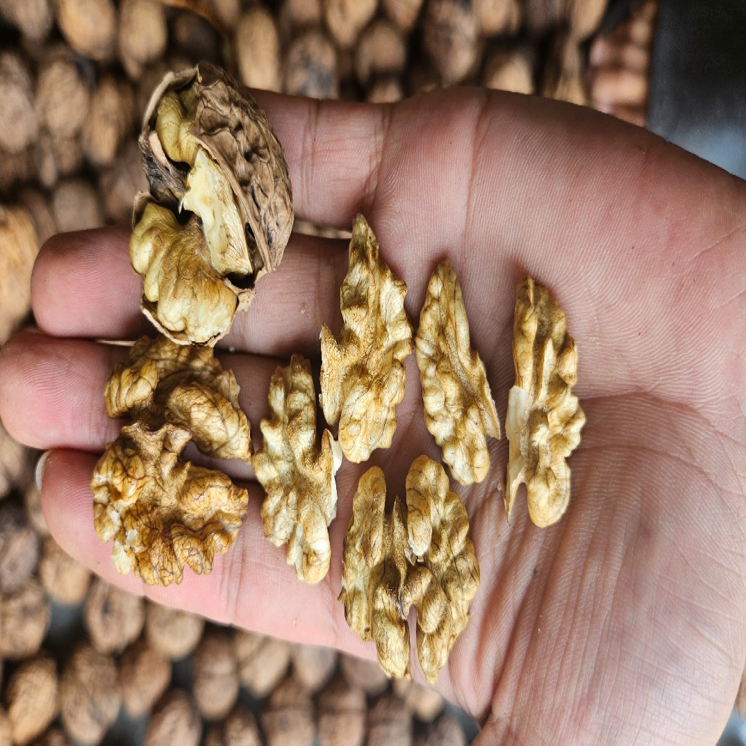 【小赵甄选】云南中缅边境高山老树核桃