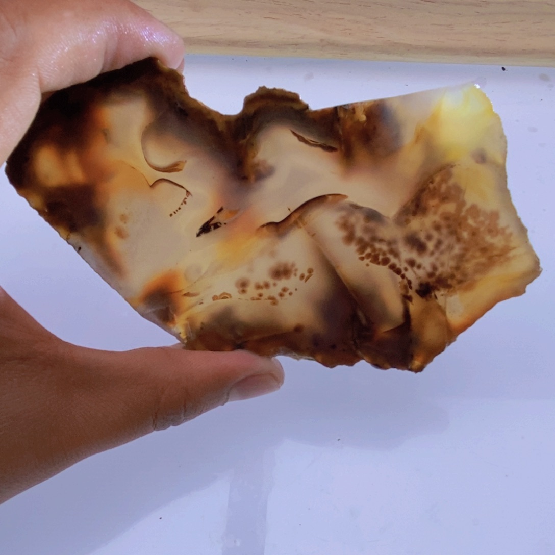 玛瑙/玉髓颈饰未镶嵌海**彩