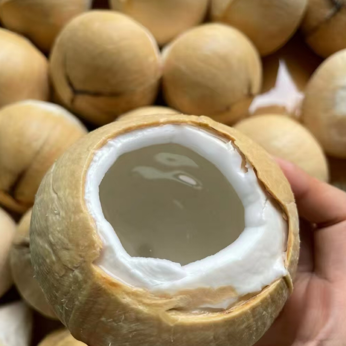 来宾小时达-QD牌椰皇940g