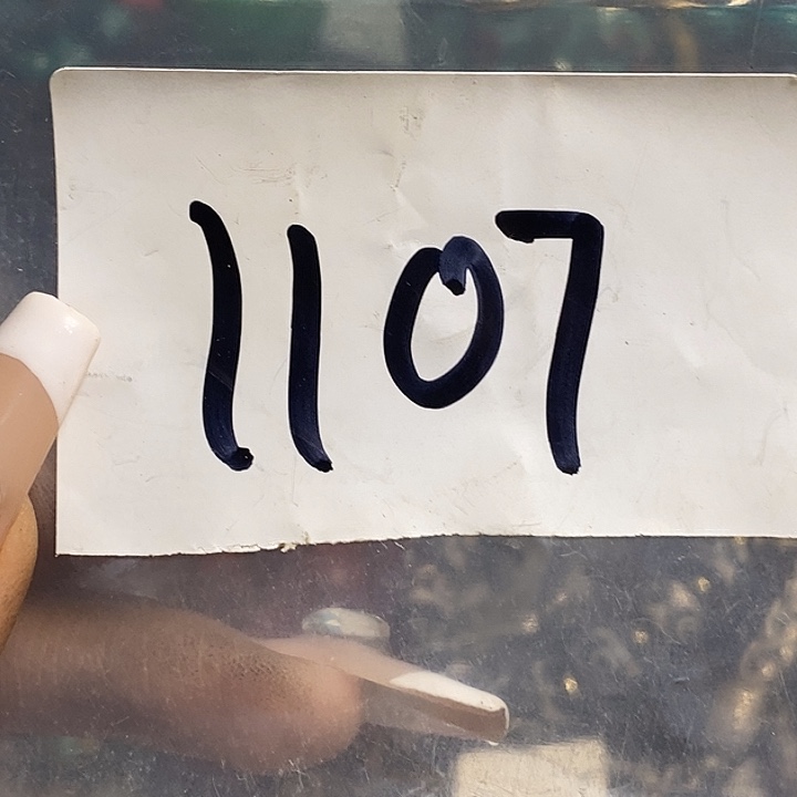 一***树最美古村专属链接