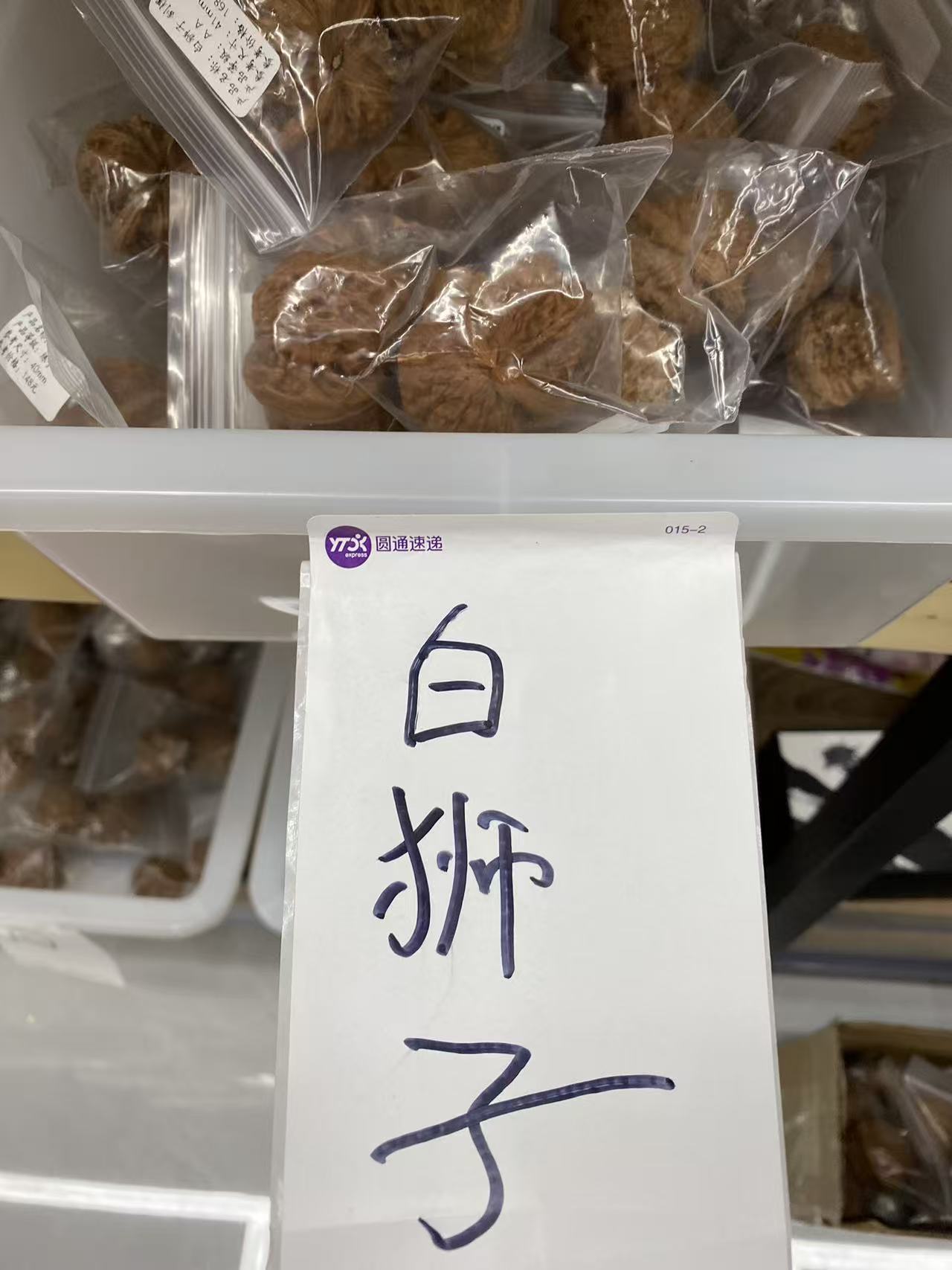 白狮子已打底#41