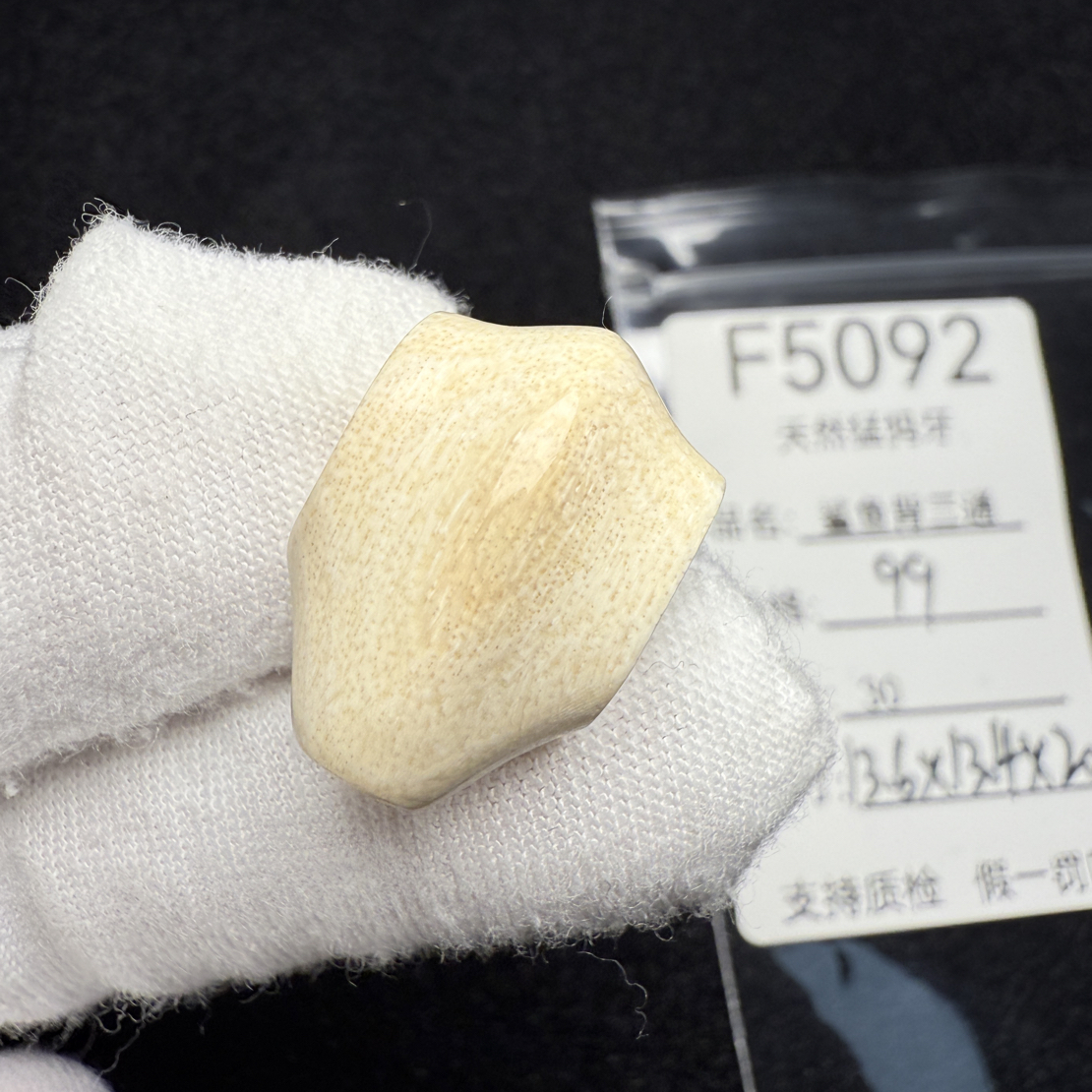 F5092猛犸象牙鲨鱼背一体三通冰料果冻料13.6*13.4*20mm