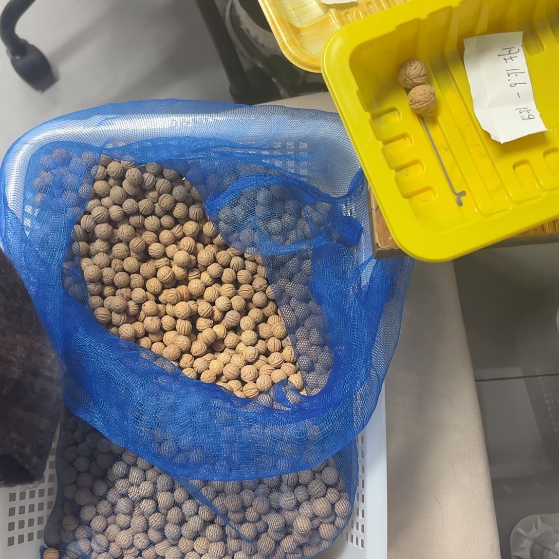 单****吊坠桃核盘锦奶豆