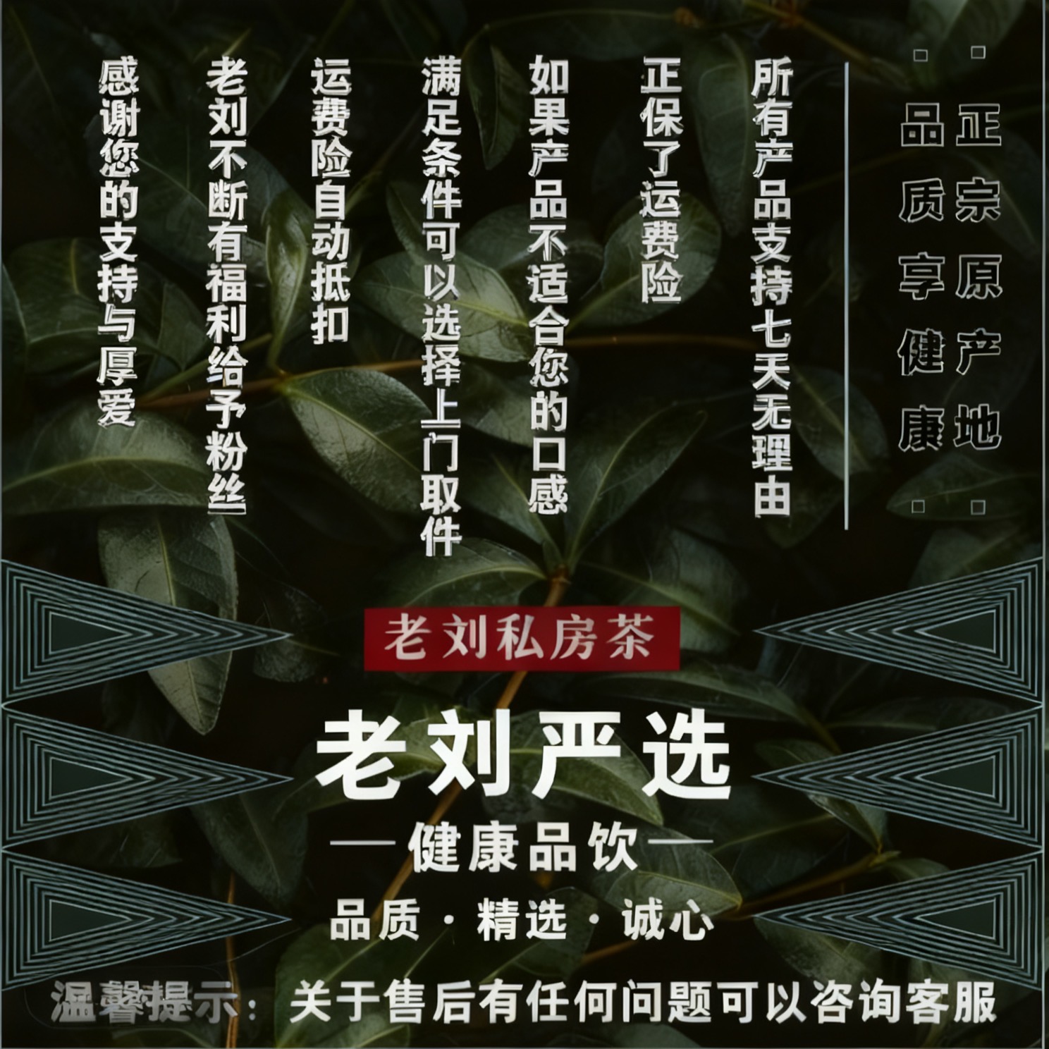【11月15日】云南景迈山擎天雄魄茶-产品以直播间为准