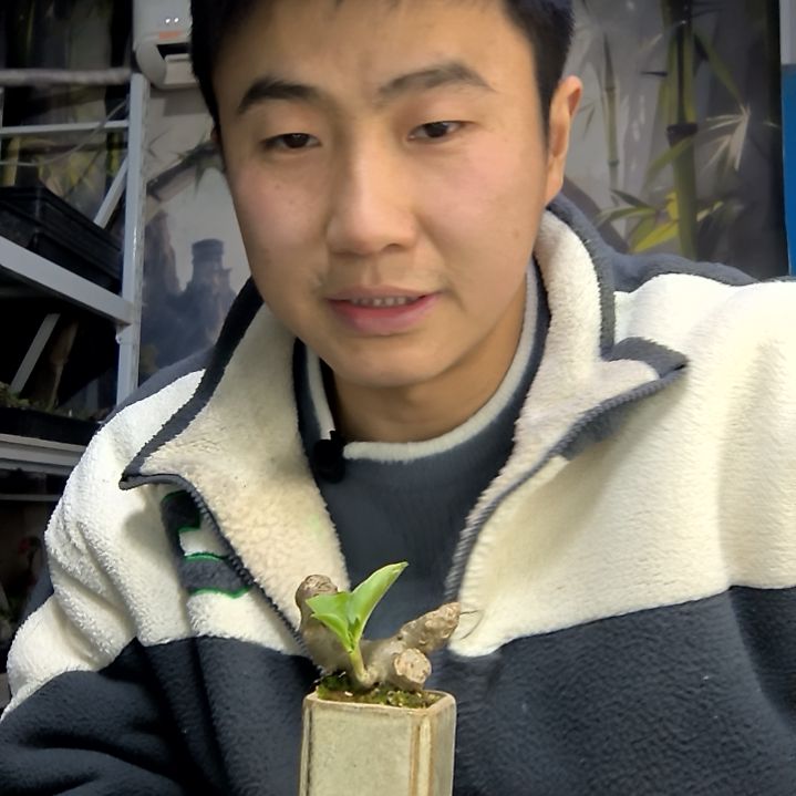 春***了中青园艺一物一拍花89