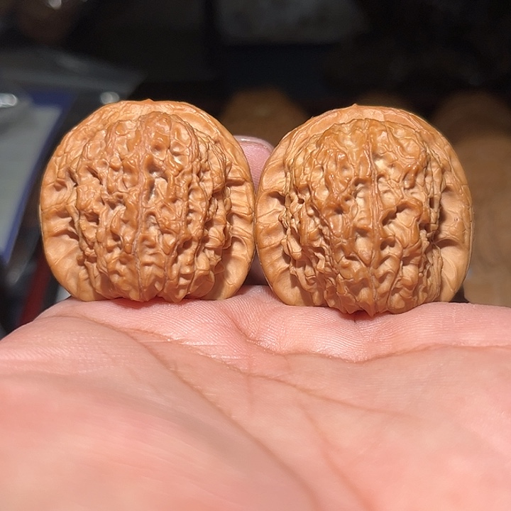 木38纯原血麒麟。  