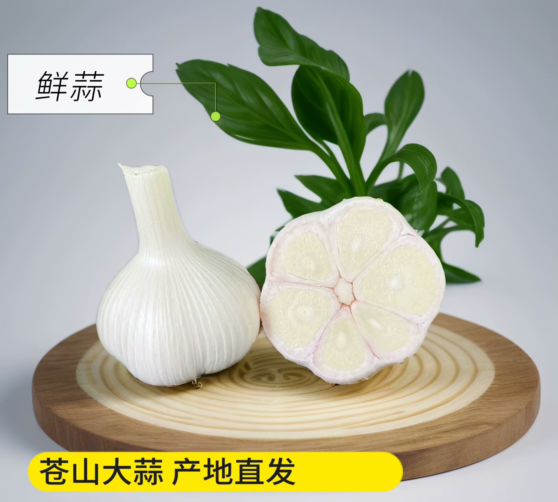 特大果6瓣鲜蒜 苍山大蒜 山东农家味道农副产品调味制品