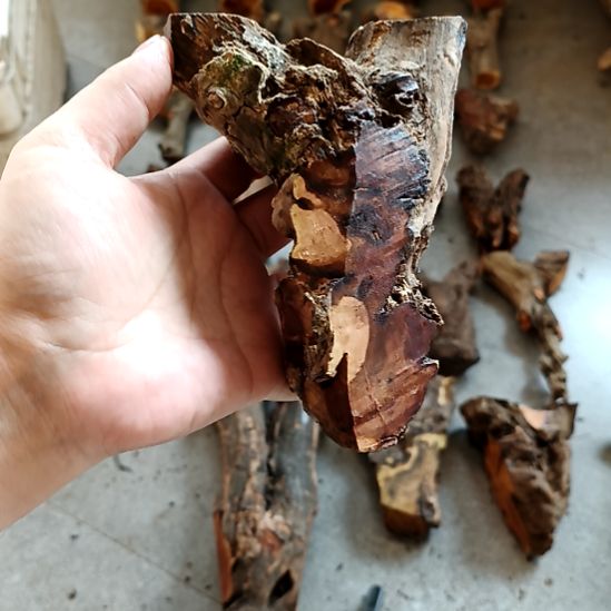 朕***了香榧木火琉璃疙瘩毛料毛料毛料