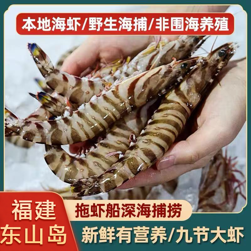 7-9条一斤/只17-18厘米 海捕野生斑节虾竹节虾 顺丰鲜活速冻发